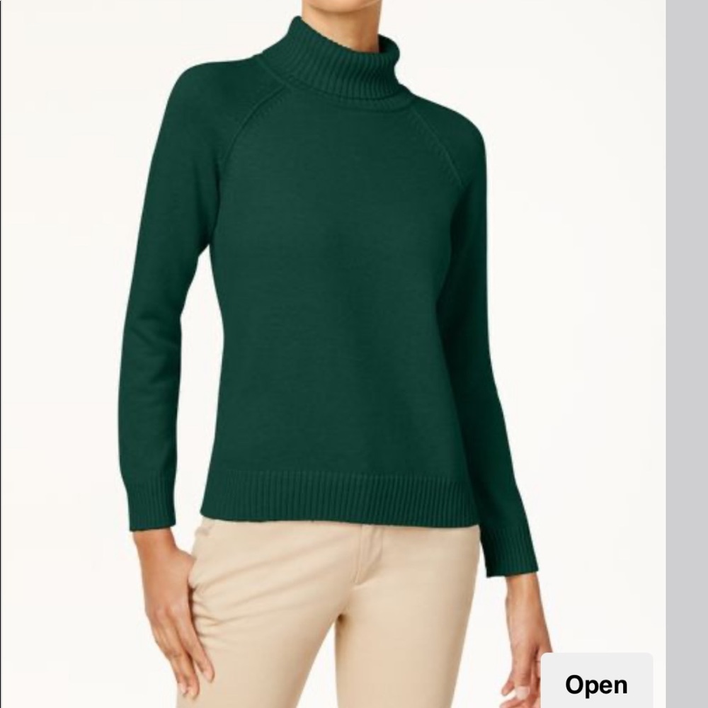 Karen Scott Cotton Turtleneck Sweater
